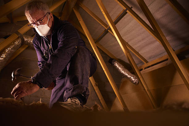 Best Specialty Insulation in Hickman, KY