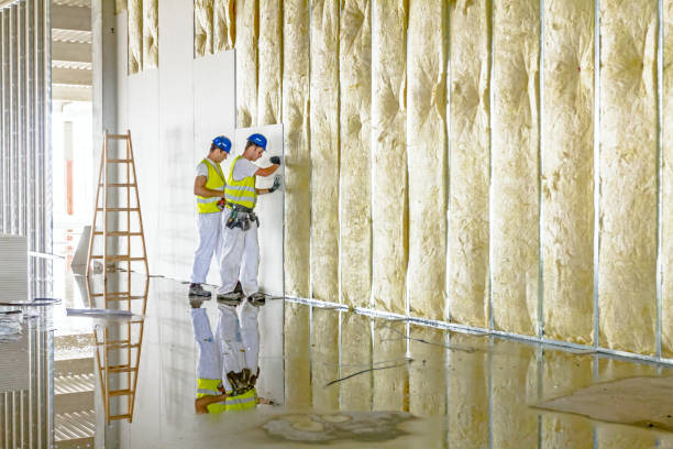 Best Commercial Insulation in Hickman, KY